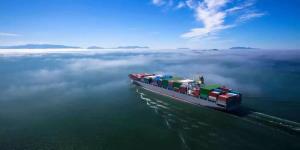 红海新航线！RCL、TS Lines联合打造，长荣租舱加盟