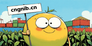 大豆订单揭示大宗农产品海运与保险的特殊性