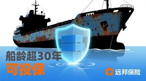 出口集装箱货物投保，船龄超25年能安排吗？能，网上直接下单！