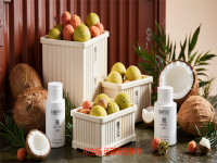 海南72条集装箱航线贯通全球，特色椰子航线 冷藏货物运输保险护航