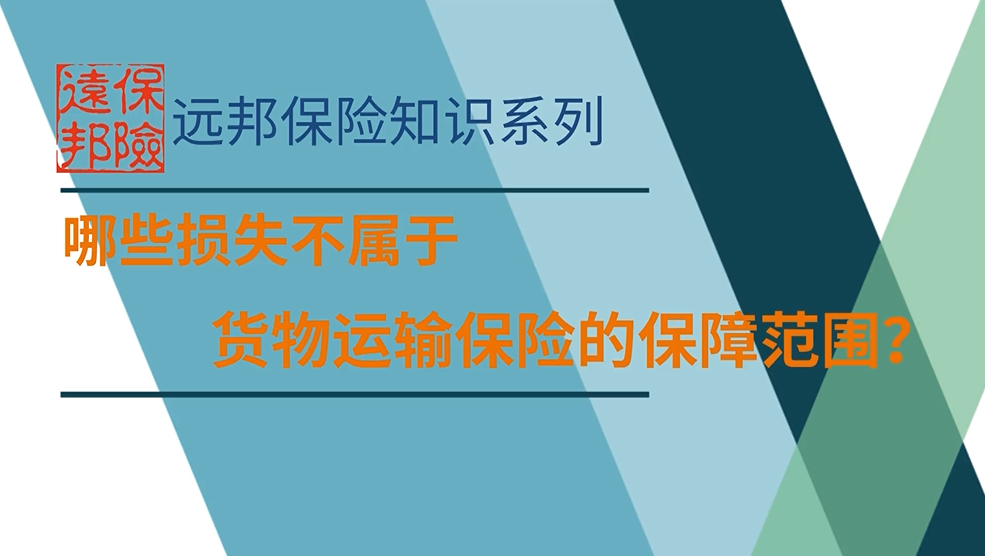 哪些损失不属于货物运输保险保障范围的